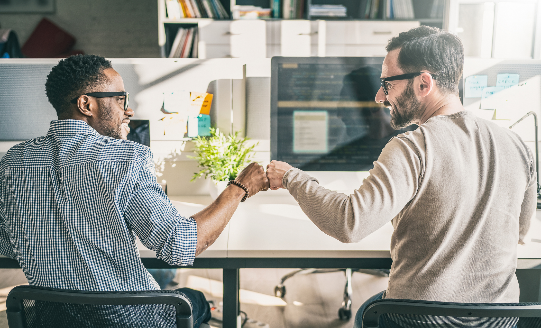 corporate compliance requirements